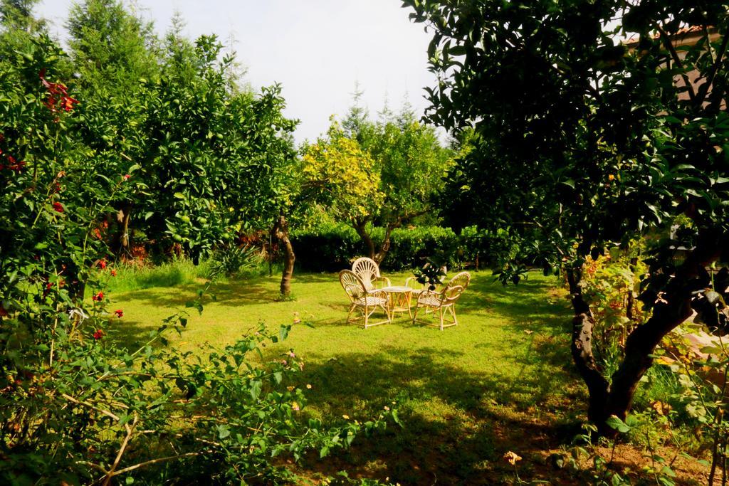 אפרטהוטל פרגליה Residenza La Vigna מראה חיצוני תמונה